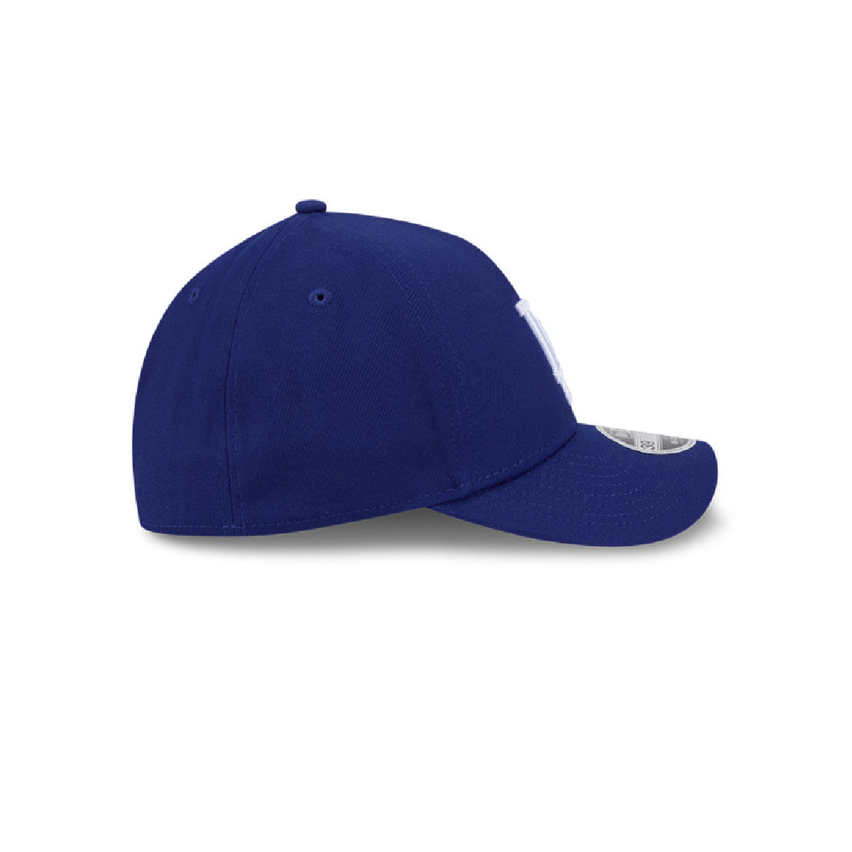 Producto 6